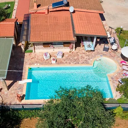 Sunflower * Альгеро