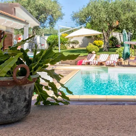 Sunflower Вилла