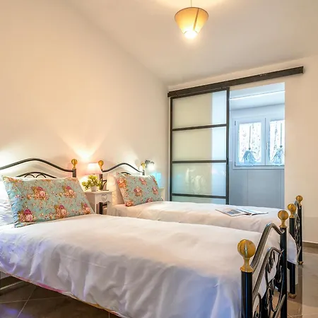 Sunflower * Альгеро