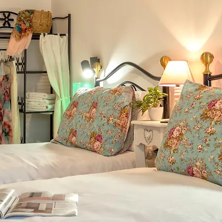 Sunflower * Альгеро